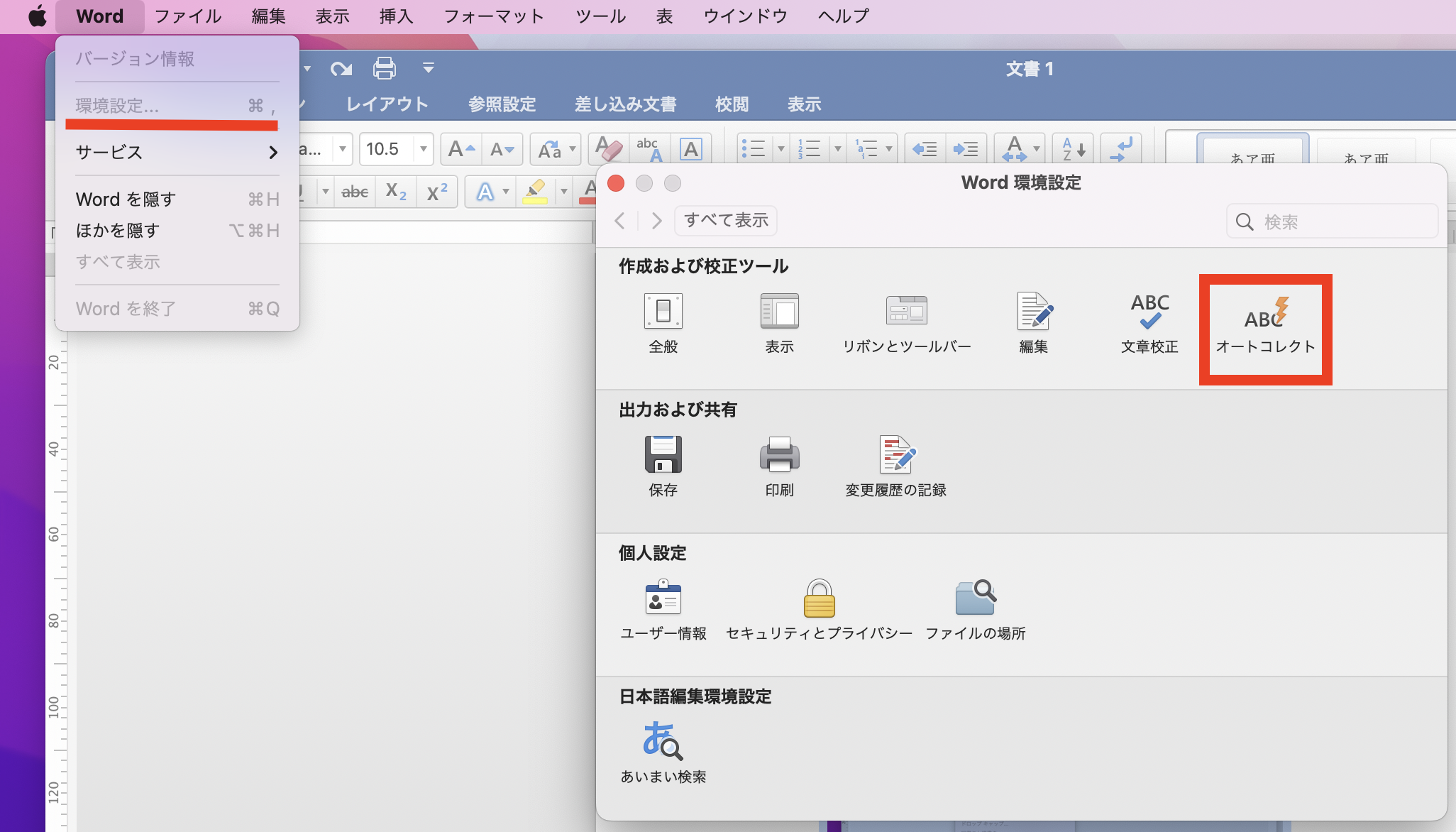 _images/spell_check_mac.png